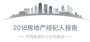 2018房地产经纪人报告发布,谁是动荡市场下的赢家